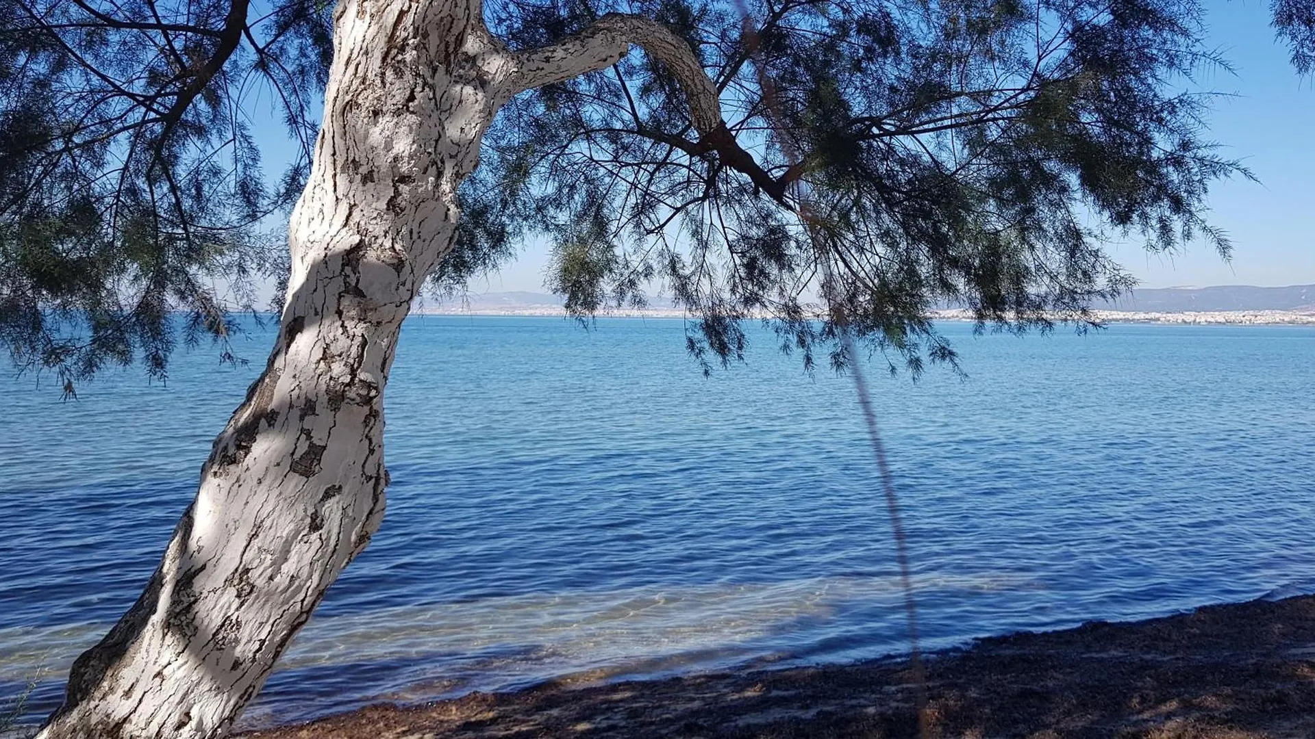 Sunny Apartment With Amazing Sea View Peraia  Greece