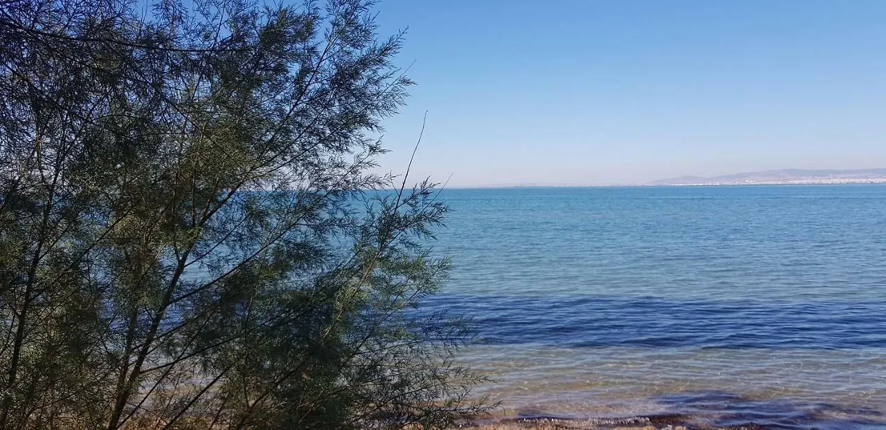 Sunny Apartment With Amazing Sea View Peraia
